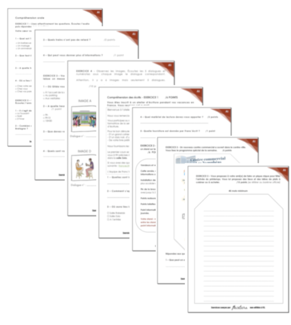 Annale DELF A1 - Flecetera